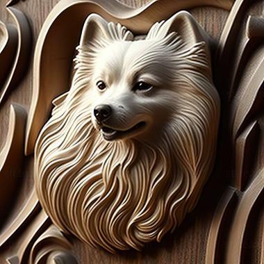 3D model American Eskimo dog (STL)